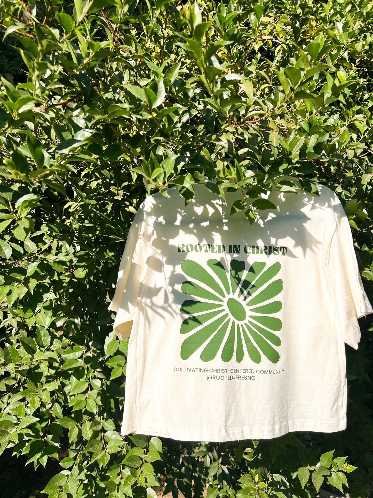 Rooted in Christ Graphic Tee